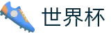 世界杯(中文)官方授权下注 | 线上买球指定平台入口地址